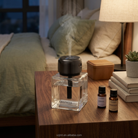 Bouteille diffuseur en verre écologique avec bouchon à vis, emballage personnalisé pour parfum d'ambiance, logo OEM en option, bouchon électrique, faible coût