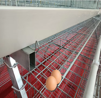 Cage à poulets de type A/H en acier galvanisé pour l'Afrique, équipement agricole automatique pour poules pondeuses, vente chaude