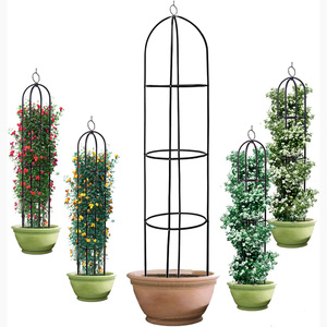 Support de plante grimpante en acier pour jardin extérieur, 100% métal, pour clematis, vigne, <span class=keywords><strong>jasmin</strong></span>, vente en gros d'usine - Product Image 1