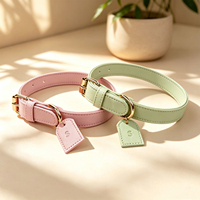 Ensemble Collier et Laisse Pratique pour Animaux de Compagnie Cortex – Accessoire Loisir Anti-Rayures Estampé à Chaud pour Chats et Chiens de Petite et Moyenne Taille – Idéal pour la Promenade Quotidienne