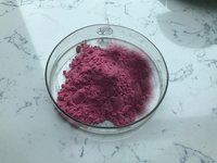 Poudre de fruits Pitaya, de qualité alimentaire naturelle, g