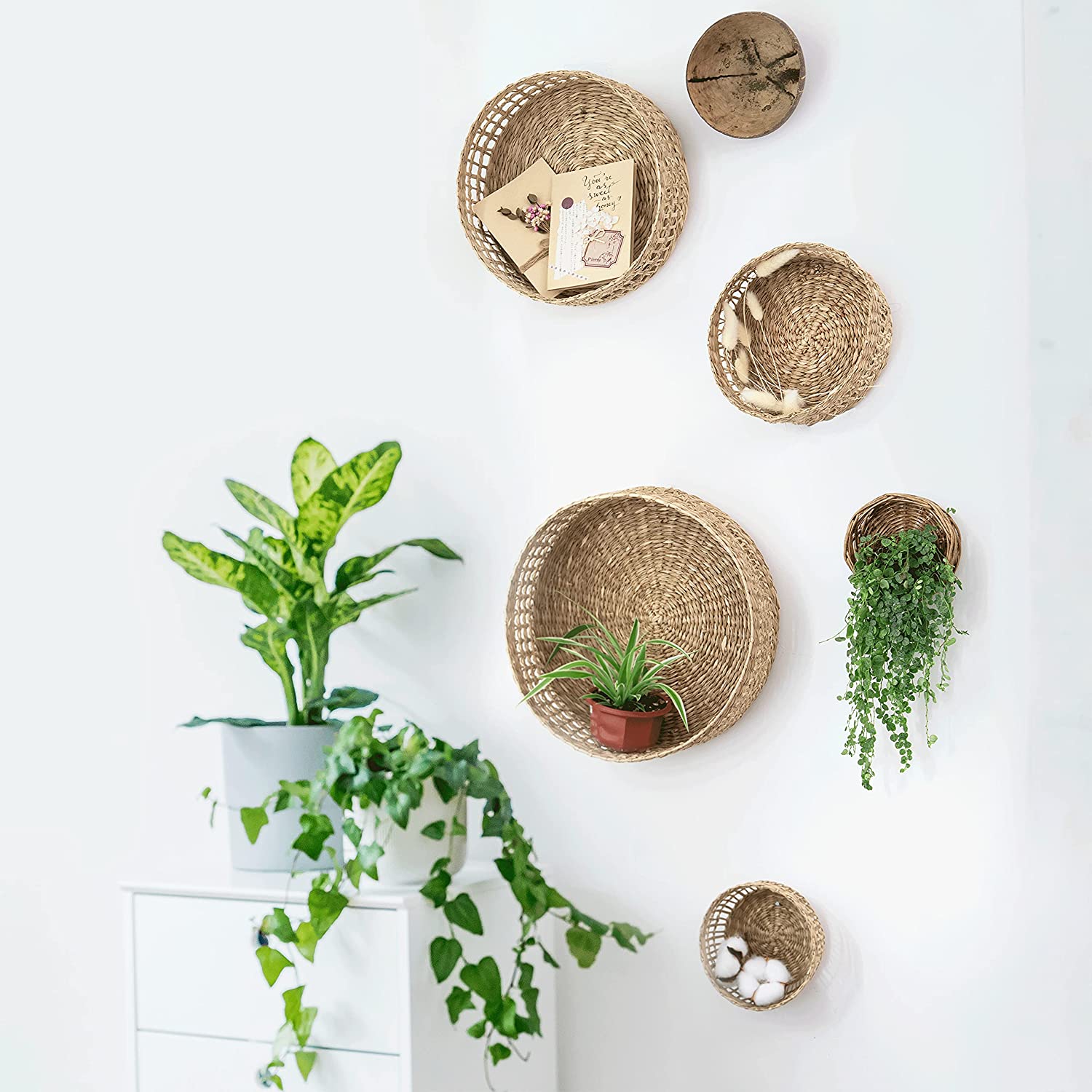 Набор из 3 круглых плетеных настенных корзин для морских водорослей, декоративные плетеные корзины для фруктов