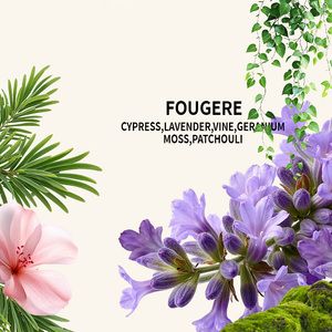 Beaut Lover Fougere Eau de Parfum Cyprès Vigne Accord Vert Frais Unisexe Parfum Fougre Personnalisable - Product Image 4