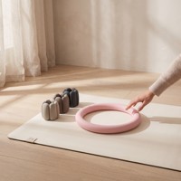 Kit de fitness et accessoires pour la maison : Barre d'haltères, haltères en silicone, anneaux de résistance avec logo, bandes de résistance pour fessiers, yoga et pilates – Vente en gros FX
