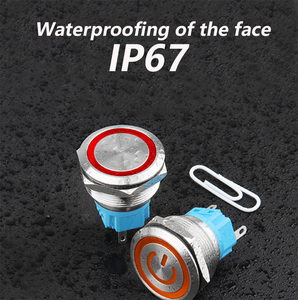 שטוח 16 מ "מ מתכת חבטות כפתור מתג עמיד למים לדחוף קטן כפתור מתג הפעלה מנורת חשמל מתג רגעית 3v 24v 110v 220v - Product Image 4