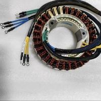 Stator de générateur Zongshen Type D14000iE neuf et original, compatible avec la station de recharge de carburant T100