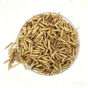 Larvas de Mosca Soldado Negra Orgánicas Bioforte, Alta en Proteínas, Sin Olor, Esterilizadas por Microondas, Alimento para Aves de Corral, Pollos y Patos - Product Image 1