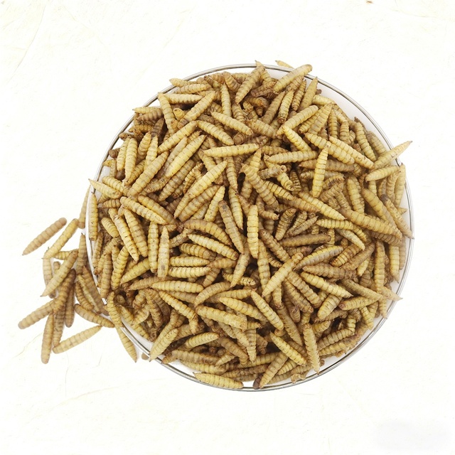 Bioforte Black Soldier Fly Larvae 100% Natural High Protein Odorless Microwave-Sterilized Pet Treat for Chickens Ducks Poultry