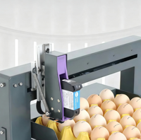 Eieren Inkjetprinter Ei-logo codeermachine Barcode datumprinter Stempelmachine op eieren