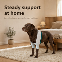Attelle de patte avant pour chien en néoprène, réglable et segmentée, avec fermeture auto-agrippante, certifiée ISO13485, pour hygroma et dysplasie