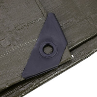 Bâche PE robuste pour l'extérieur, imperméable, en tissu plastique, bon prix, pour toutes les conditions