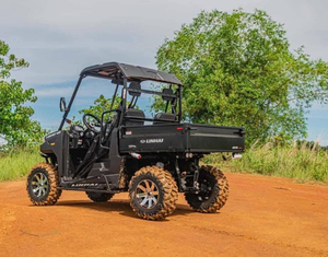 <span class=keywords><strong>Linhai</strong></span> tarchon 400 UTV 1000W Điện Tự động/CVT truyền động Diesel/nhiên liệu khí EPA/EEC chứng nhận - Product Image 3