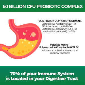 OEM Probióticos Suplementos Suporte Postbiótico Prebiótico Sistema Digestivo Saúde Intestino Cápsulas Probióticas - Product Image 6