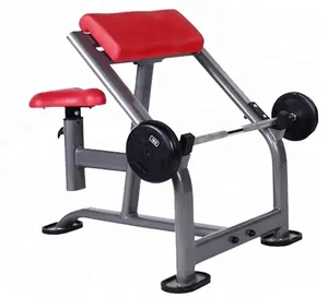 Seated Bicep Tricep Curl Gym Equipment Biceps Fitness Arm Curl Preacher Bench Stainless steel