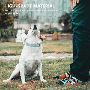 Colliers ronds colorés durables pour chiots Collier de cou en PU pour petits, moyens et grands chiens et chats - Product Image 2