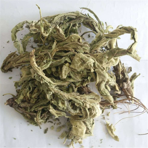 100%天然牛蒡草药粉/片，新鲜干燥，价格优惠 - Product Image 3