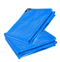 Bâche en PE bleue imperméable pour l'agriculture et les serres, fournie directement par l'usine