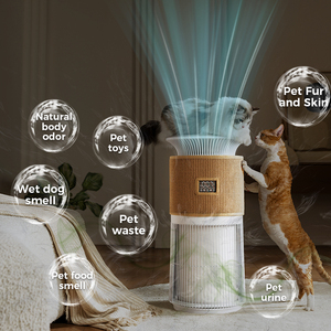 Purificateur d'air intelligent pour animaux domestiques, filtre d'intérieur, fabricant de purificateurs d'air en Chine - Product Image 5