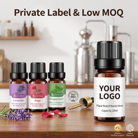 Huile Essentielle Pure Naturelle en Gros 10ml – Lavande, Menthe Poivrée, Rose Biologiques pour Diffuseur et Aromathérapie – Prix de Gros