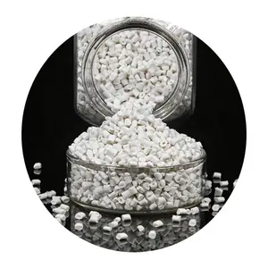 Polypropylene Nguyên Liệu Nhựa PP Gf50 TD 20 30 40 Chống Cháy Phun Đùn Lớp PP Viên FR V0 - Product Image 1