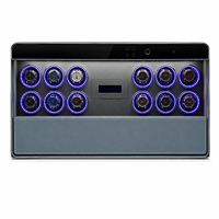 Safewell Intelligent Luxury 12-Slot Autorotation Remontoir de montre intelligent Coffre-fort avec moteurs silencieux Contrôle tactile TPD indépendant