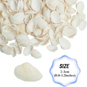 Tự Nhiên Nhỏ Biển Vỏ Nhỏ Màu Trắng Ngao Vỏ Cho Hàng Thủ Công Nhà Bãi Biển Chủ Đề Đảng Bể Cá Bình Phụ Vòng Đeo Tay Làm - Product Image 3