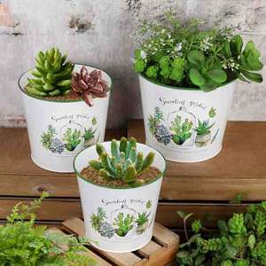 Usine vente directe blanc <span class=keywords><strong>Cactus</strong></span> élément métal Pot de fleur succulente planteur nouveau Style rond conteneur emballage/emballage cadeau - Product Image 1