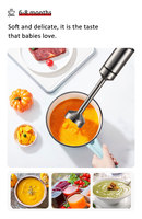 Boîtier en acier inoxydable Mélangeur électrique à main Cuisine Source électrique extérieure Hachoir en plastique Immersion Usage domestique