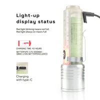 Senter UV luar ruangan, Senter LED Mini isi ulang daya USB burung cerah, Senter UV luar ruangan portabel dengan fungsi pemeriksaan uang