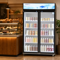 Réfrigérateur vertical commercial, vitrine verticale pour supermarché, 2 portes, grande capacité 820L, réfrigérateur de présentation