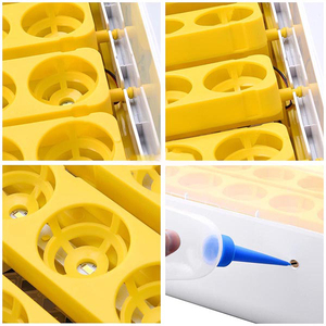 Incubateur et éclosoir automatique Wonegg à LED, meilleur prix, avec couveuse et éclosoir combinés, en vente, certifié CE - Product Image 5