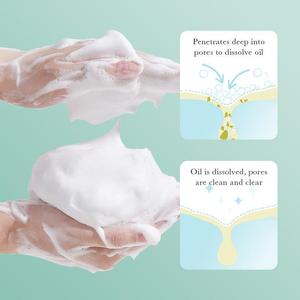 <span class=keywords><strong>Nettoyant</strong></span> <span class=keywords><strong>visage</strong></span> doux ZHENXIU à base de plantes, biologique, sans huile, anti-rides, hydratant, régulateur de sébum, pour tous types de peaux - Product Image 3