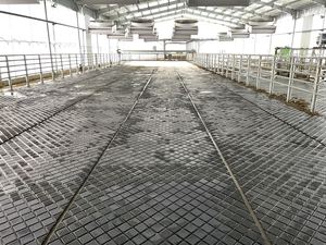 Dairy Farm Cow Shed Anti-Slip Floor Stall Ground Skin Milking Parlor Revestimento De Borracha Confortável com Serviço De Corte Personalizado - Product Image 4