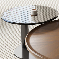 Haavk Table Basse Nordique Minimaliste Moderne Simple en Noyer, Luxe Léger, pour Salon, Appartement Italien, Meuble de Maison