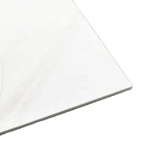 Acrilico bianco celluloide foglio di laminato cast strato acrilico