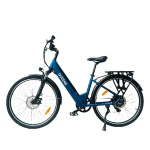 QUEENE/도시 e 자전거 전기 자전거 ebike 도시 전기 자전거 pedelec bicicleta electrica 36V 48V