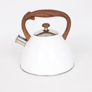 Bouilloire à thé pouding en acier inoxydable, théière de qualité alimentaire avec poignée Anti-chaleur, adapté à toutes les Source de chaleur avec peinture