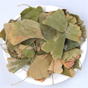 Yin Xing Ye Chinese Bulk Natural Ginkgo Leaf Tea Dried Ginkgo Biloba Leaves