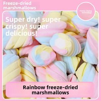 Marshmallow Kering Beku Bentuk Pilin Warna Pelangi, Marshmallow Pilin Renyah, Permen Kering Beku untuk Grosir