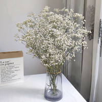 Décoration de mariage, fleurs préservées, feuilles préservées, fleurs éternelles blanchies, matériaux pour la conception de mariage