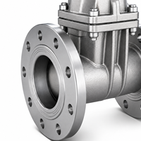 Katup Gerbang Baja Berflens Tugas Berat Manual Z41W CF8 PN16 dengan Dudukan Logam untuk Aplikasi Industri Minyak & Gas