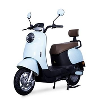 Sepeda Motor Cruiser Listrik Model Baru Grosir Pabrik, Sepeda Kota Listrik, Layanan Bagus, Sepeda Motor Listrik untuk Dewasa