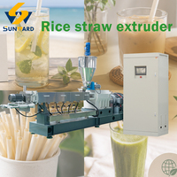 Machine automatique de fabrication de pailles à boire en riz comestible, ligne de production d'extrusion de pailles en tapioca biodégradable