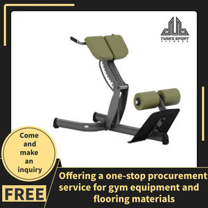 Machine d'hyperextension assise professionnelle pour salle de sport, équipement de fitness pour l'extension dorsale, usage intensif TK62-GM974, entraînement commercial E - Product Image 4