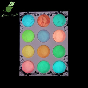 SunelPort Polvo de Uñas Profesional Fluorescente de 12 Colores, Larga Duración, que Brilla en la Oscuridad, Material Ecológico, Mini - Product Image 1
