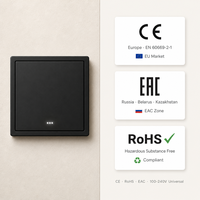 Interrupteur intelligent EU 86 mm 1 2 3 4 voies, panneau tactile WiFi, prise modulaire combinée, USB-C, Alexa, Google, CE, OEM