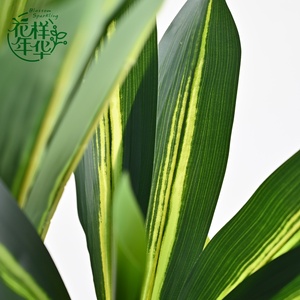 ต้นบอนไซประดิษฐ์ 150 ซม. <span class=keywords><strong>ต้นไม้</strong></span>เหล็กบราซิลแบบต้นเก่า 3 ลำต้นในตัว สำหรับตกแต่งสวนในร่มและกลางแจ้ง ขายดี - Product Image 4