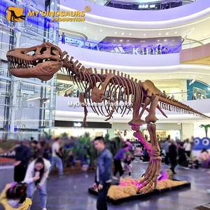 ผลิตภัณฑ์นิทรรศการไดโนเสาร์ <span class=keywords><strong>My</strong></span> Dino DS-<span class=keywords><strong>101</strong></span> รูปปั้นโครงกระดูกไดโนเสาร์ทีเร็กซ์ทำจากไฟเบอร์กลาส - Product Image 2