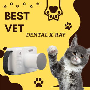 Équipement portable de radiologie buccale vétérinaire, système DR dentaire pour animaux, dentisterie vétérinaire - Product Image 3
