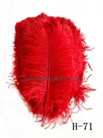 Bulu Burung Unta Emas Asli Warna Merah Besar Kualitas Tinggi untuk Hiasan Tengah Pernikahan Bunga Dekorasi Pernikahan Dijual